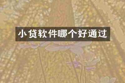 小贷软件哪个好通过