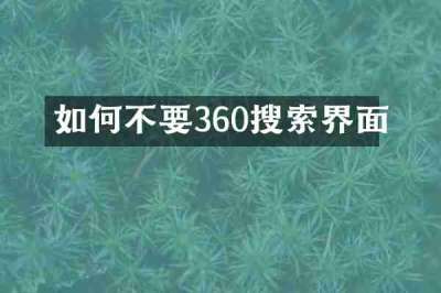 如何不要360搜索界面