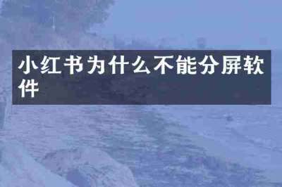 小红书为什么不能分屏软件