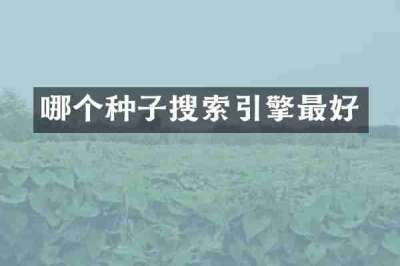 哪个种子搜索引擎最好