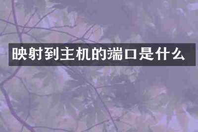 映射到主机的端口是什么