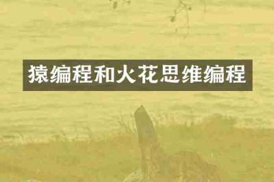 猿编程和火花思维编程