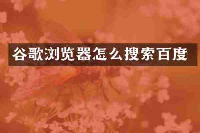 谷歌浏览器怎么搜索百度