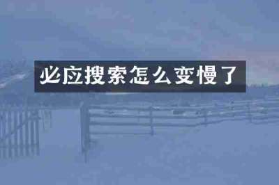 必应搜索怎么变慢了