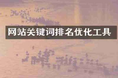 网站关键词排名优化工具