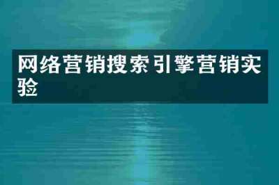 网络营销搜索引擎营销实验