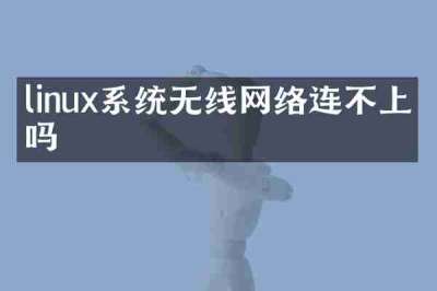 linux系统无线网络连不上网吗