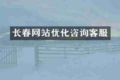 长春网站优化咨询客服