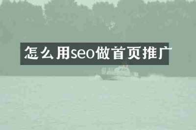 怎么用seo做首页推广