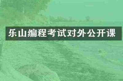 乐山编程考试对外公开课