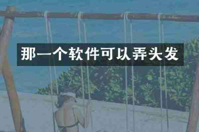 那一个软件可以弄头发