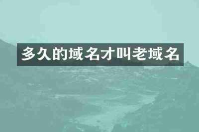 多久的域名才叫老域名
