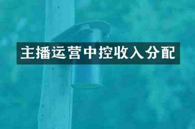 主播运营中控收入分配