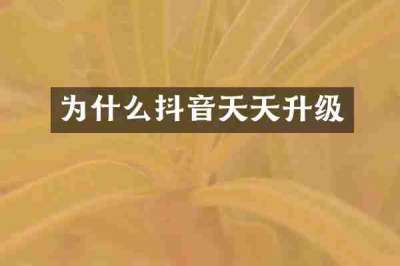 为什么抖音天天升级