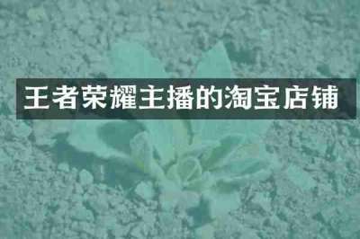 王者荣耀主播的淘宝店铺