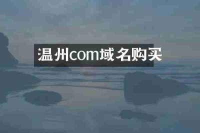 温州com域名购买