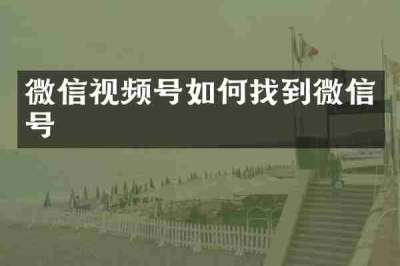 微信视频号如何找到微信号