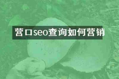 营口seo查询如何营销