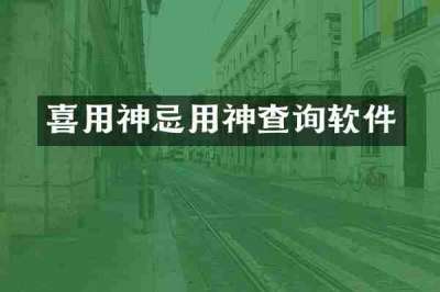 喜用神忌用神查询软件