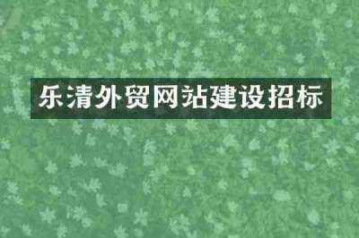 乐清外贸网站建设招标