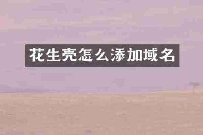 花生壳怎么添加域名