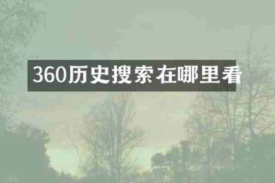360历史搜索在哪里看