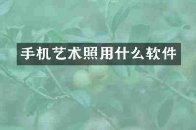 手机艺术照用什么软件