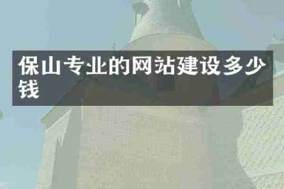 保山专业的网站建设多少钱