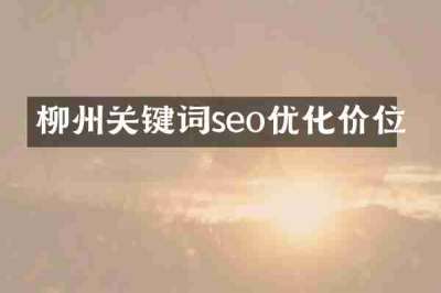 柳州关键词seo优化价位