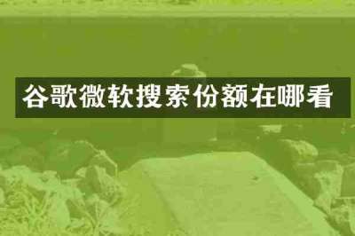 谷歌微软搜索份额在哪看