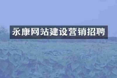 永康网站建设营销招聘