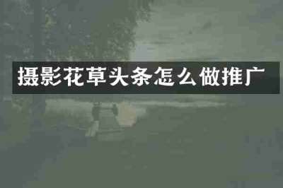 摄影花草头条怎么做推广