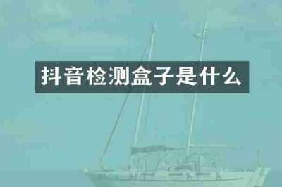 抖音检测盒子是什么