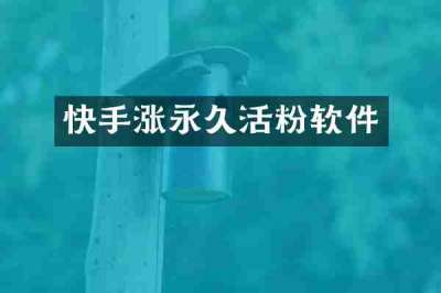 快手涨永久活粉软件