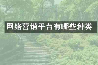 网络营销平台有哪些种类