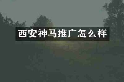西安神马推广怎么样