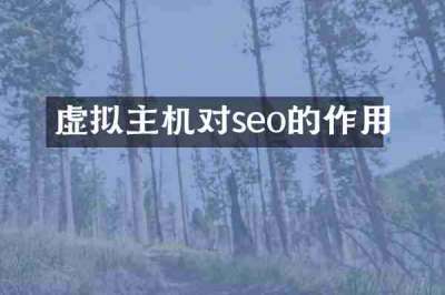 虚拟主机对seo的作用