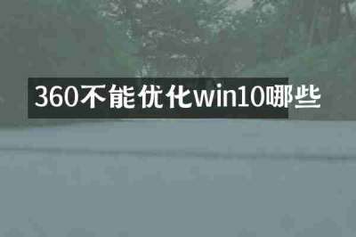 360不能优化win10哪些