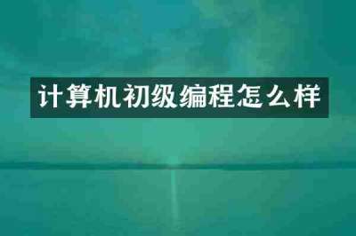计算机初级编程怎么样