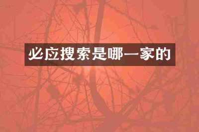 必应搜索是哪一家的