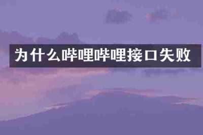 为什么哔哩哔哩接口失败