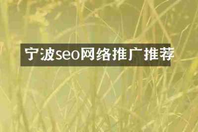 宁波seo网络推广推荐