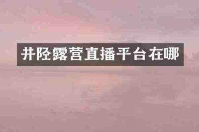 井陉露营直播平台在哪