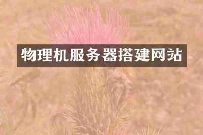物理机服务器搭建网站