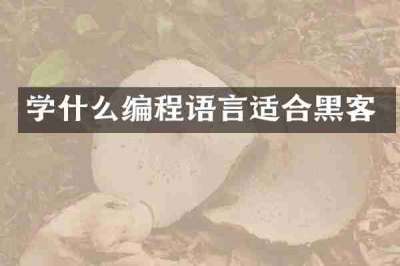 学什么编程语言适合黑客