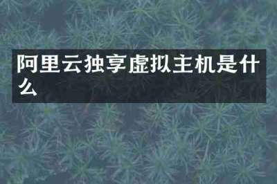 阿里云独享虚拟主机是什么