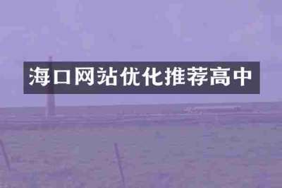 海口网站优化推荐高中
