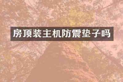 房顶装主机防震垫子吗