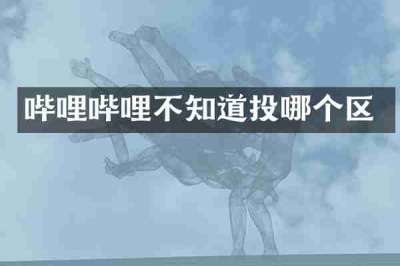 哔哩哔哩不知道投哪个区