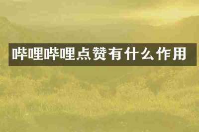 哔哩哔哩点赞有什么作用